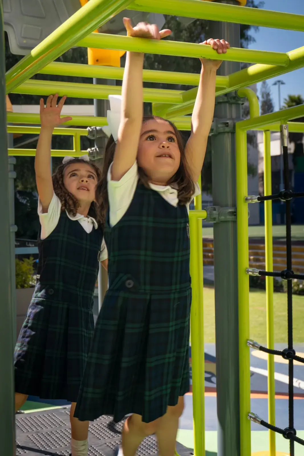 Actividad del nivel educativo